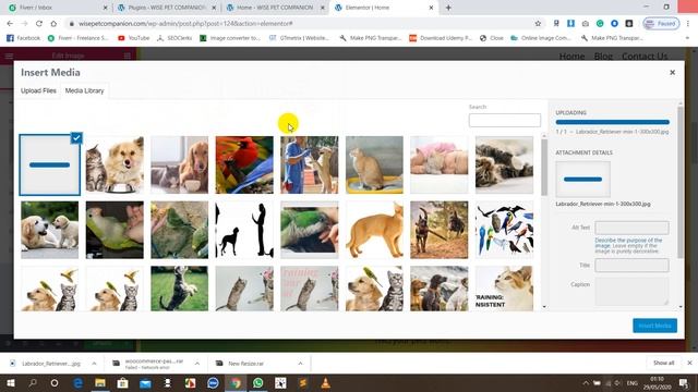 how to create circle image section using elementor // how to make image circle in wordpress bangla смотреть онлайн