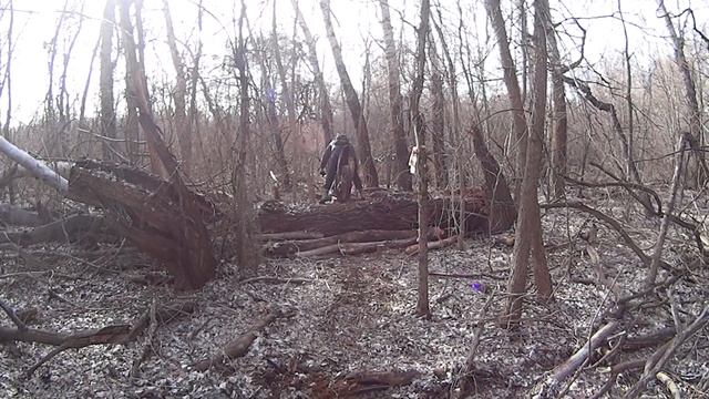 разметка трассы смотреть онлайн