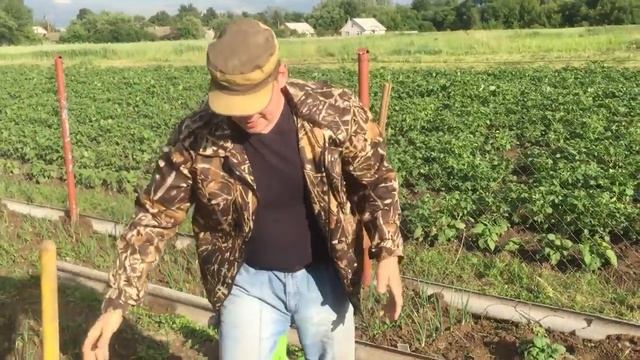 МУЛЬЧИРУЕМ ГРЯДКУ. Экономия времени и сил В 4 РАЗА!!!!! смотреть онлайн