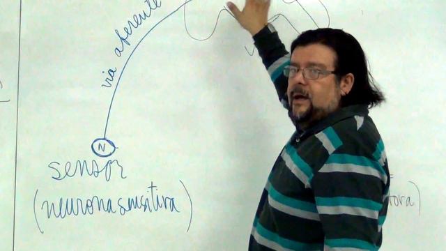 T&S: Reflexología Rusa смотреть онлайн