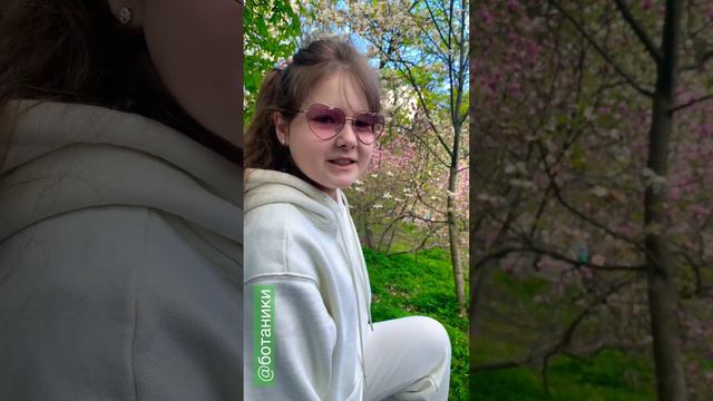 Ботанический сад в Киеве. #new #newvideo #новоевидео #life #ботаническийсад #киев #магнолия #весна смотреть онлайн