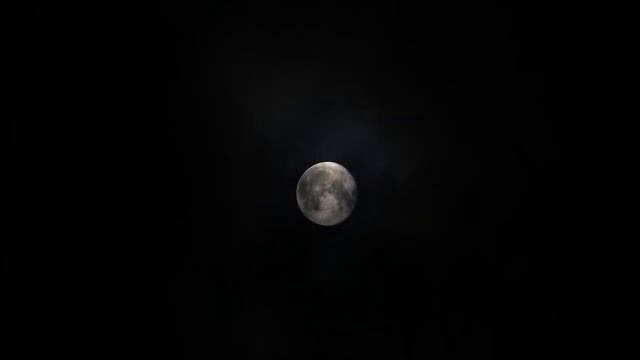 СТРАШНАЯ ИСТОРИЯ НА НОЧЬ - ЛИПКАЯ ТЬМА смотреть онлайн