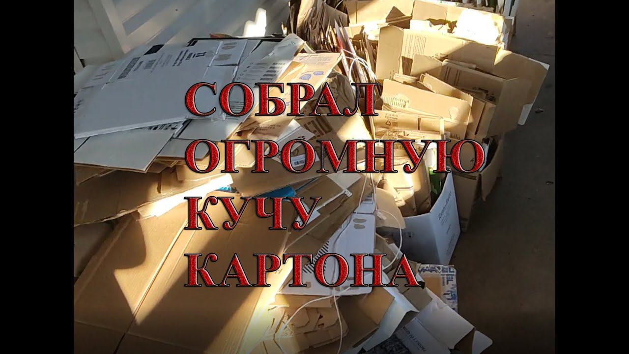 СБОР КАРТОНА Dumpster Diving VLG