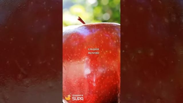 АРОМАТ ЭССЕНС W130 ESSSENS смотреть онлайн