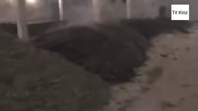 Компостирование 2 Ашкадарская птицефабрика смотреть онлайн