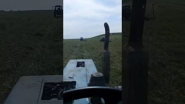 Сенокос лето Алтайский край смотреть онлайн