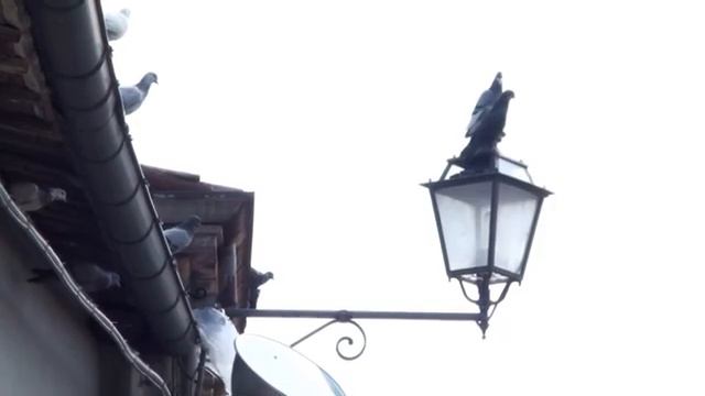Santarcangelo di Romagna.mp4 смотреть онлайн
