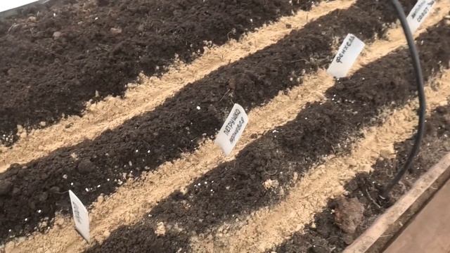 28 03-02 04 2023г дорога на Сухое море,посадки в теплице.лук Стурон смотреть онлайн