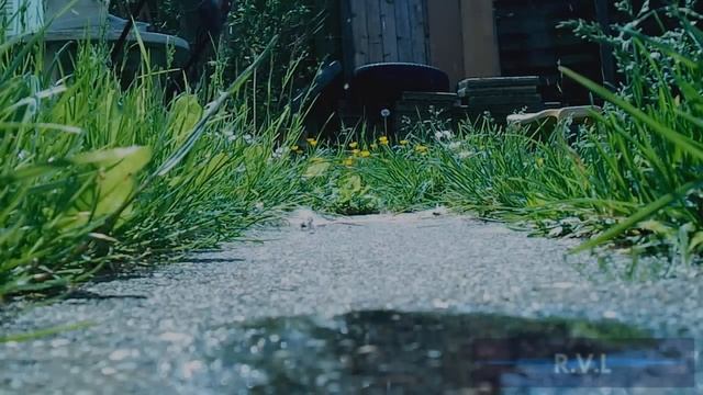 review samsung ST67 смотреть онлайн