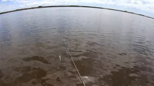 УДАЧНАЯ Рыбалка на спиннинг у Хабаровска. Река Амур