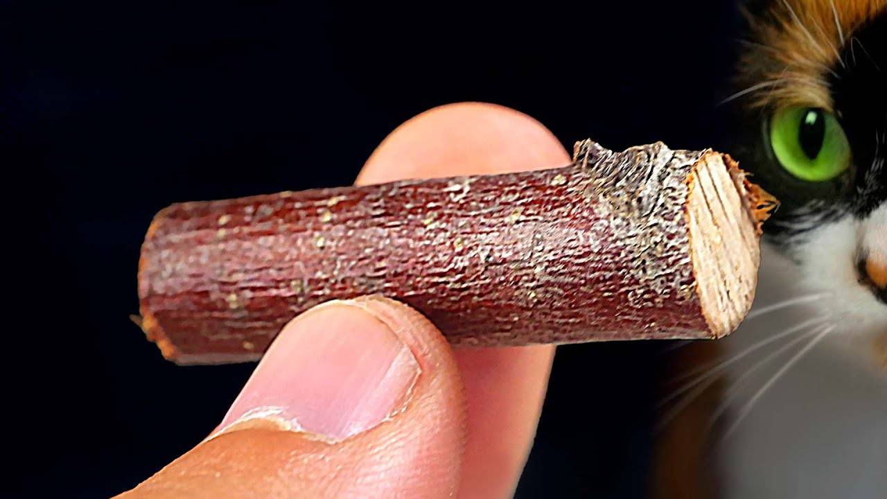 Вот что мы купили на aliexpress №7