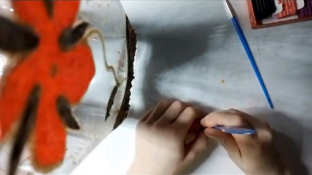 11 октября 2023 г.