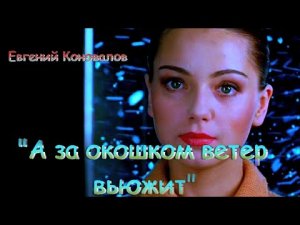 очень любимая всеми песня:Евгений Коновалов ❄ А за окошком ветер вьюжит