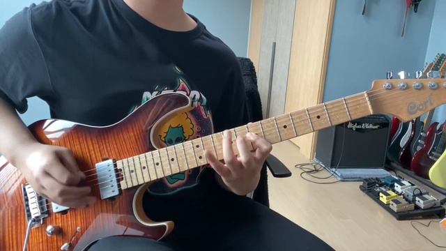Tornado Of Souls Guitar Cover, Cort G290 FAT смотреть онлайн