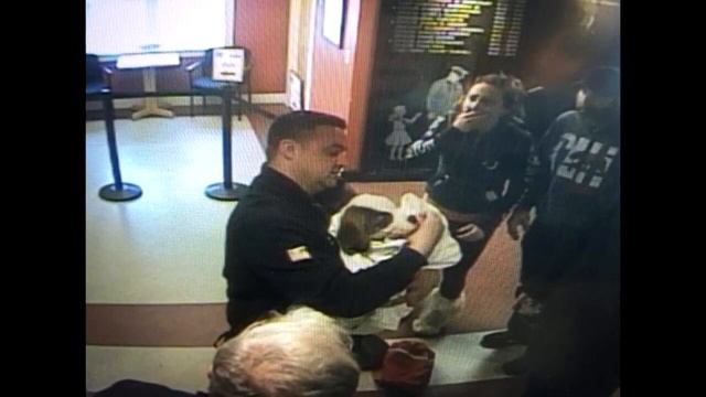 Девушка внесла в полицейский участок бездыханное тело щенка. Действия полицейских поражают! смотреть онлайн