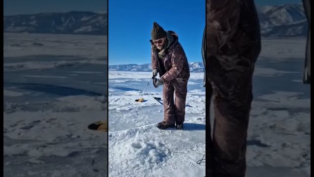 Сразу два омуля ! #иркутск #камчатка #байкал #омуль #охота #рыбалка #отдых #малоеморе #рыбак #зима смотреть онлайн