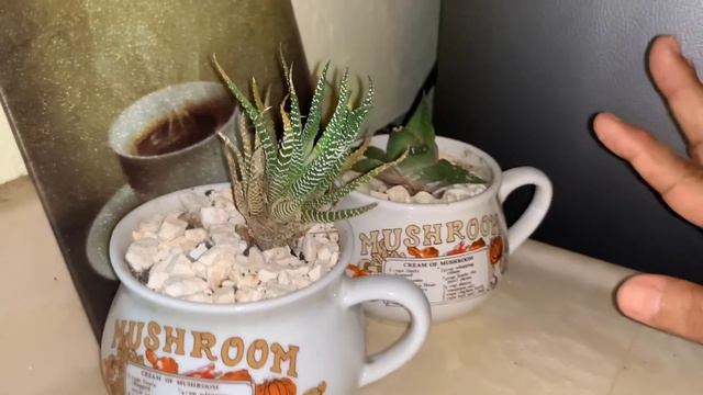 TOUR Por Toda Mi Casa Con PLANTAS y Decoraciones NAVIDEÑAS🏡🤩✅ смотреть онлайн