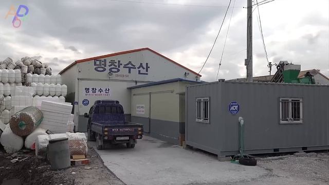 Amazing Oyster Mass Production Process. Huge Scale Korea Oyster Farming смотреть онлайн