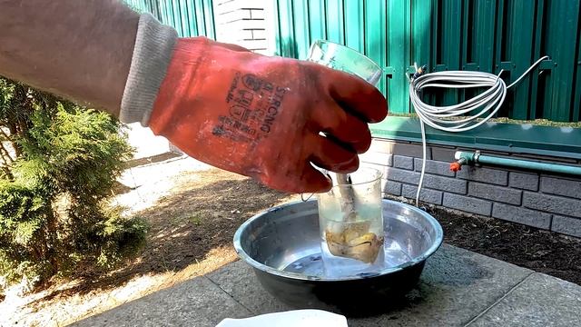 Как быстро Пиранья "съест" человека. смотреть онлайн