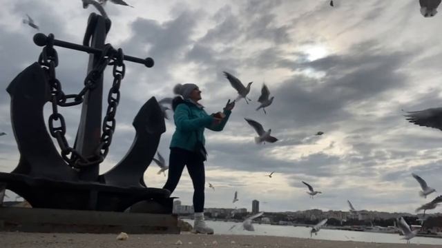 Чайки над морем смотреть онлайн