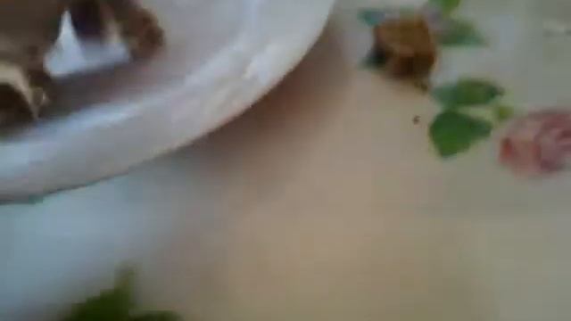 Фитнес для Женщин