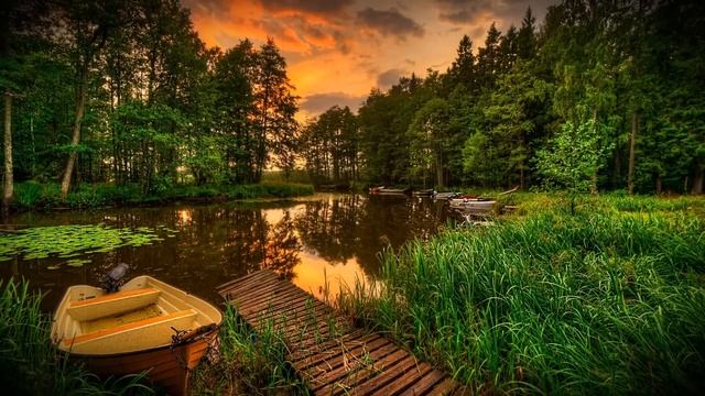 Муж вернулся домой пораньше и услышал из ванной знакомые стоны  А когда открылась дверь,он онемел о