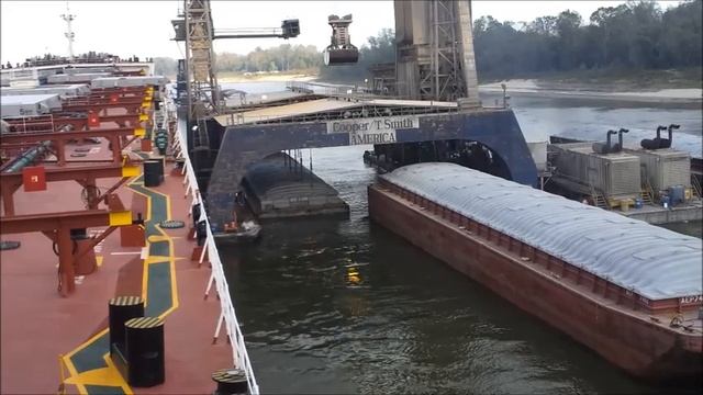 Soybeans Terminal On The Water. New Orleans.