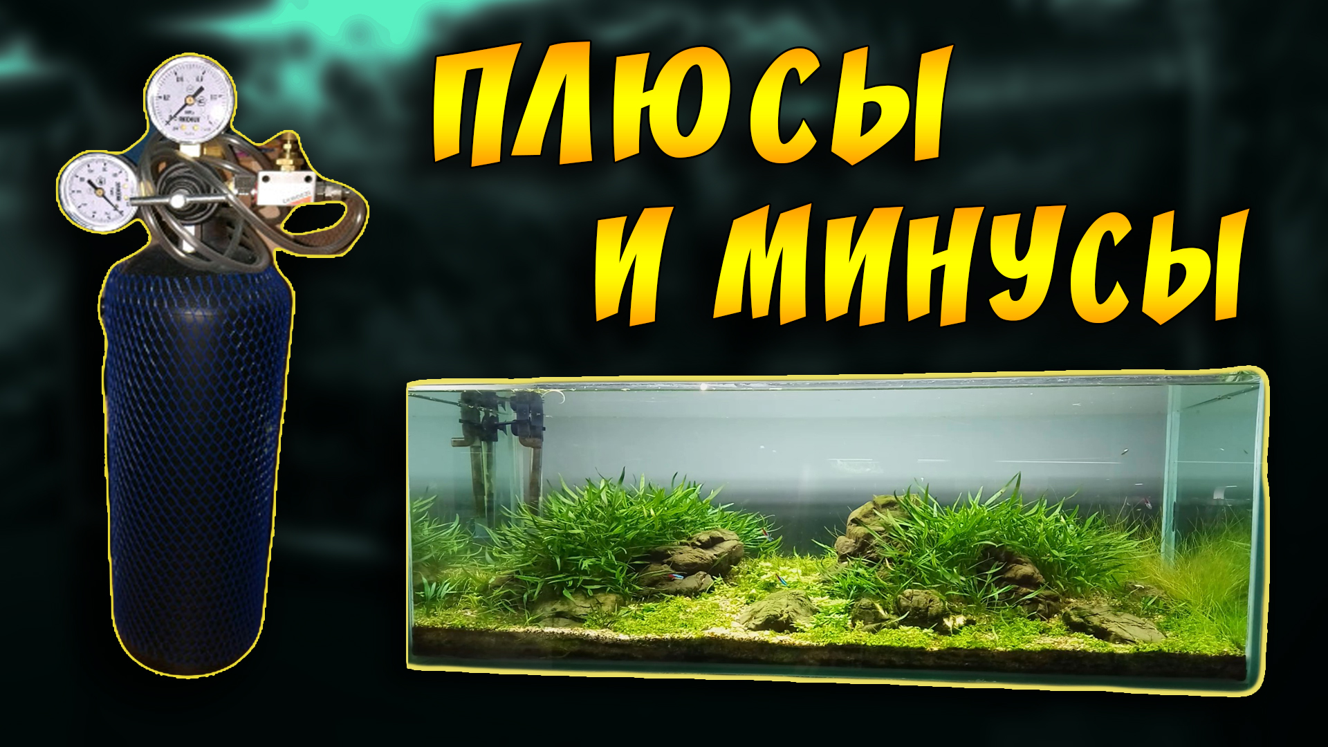 Баллонная система со2 для аквариума! Отзыв через месяц! смотреть онлайн