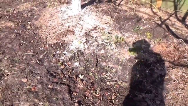 Приезд на дачу, апрель 2017г. смотреть онлайн