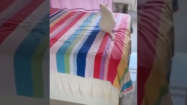 Пушистый гад🐱 смотреть онлайн