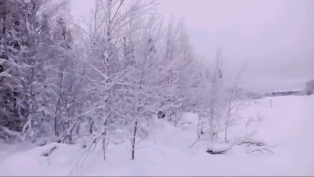 Зимняя сказка окрестностей г. Печора