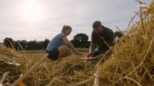 Комбайн CLAAS LEXION самый производительный зерноуборочный комбайн в мире!