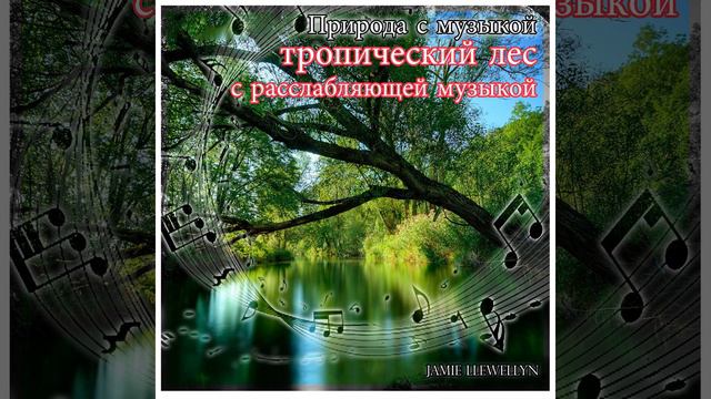 Звуки природы: тропический пляж смотреть онлайн