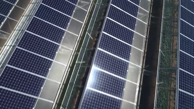 2021 Serre Photovoltaïque Berre l'étang смотреть онлайн