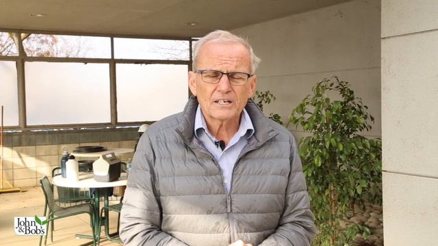 Atrium Ideas | Low Maintenance Atrium