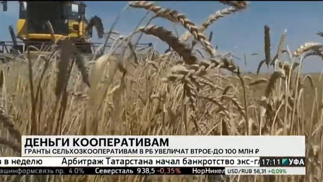 Гранты сельхозкооперативам в РБ увеличат втрое - до 100 млн руб. смотреть онлайн