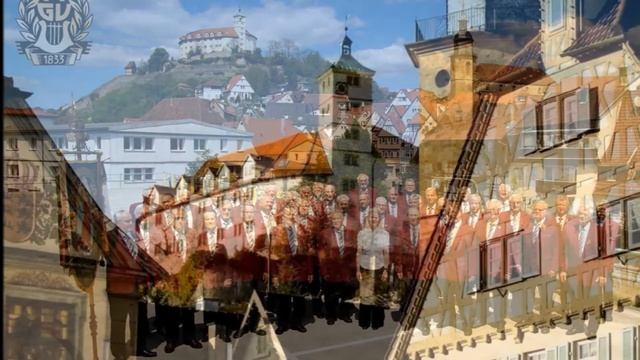 MÄNNERGESANGVEREIN VAIHINGEN-ENZ e.V. 1833 ~ Hymne an die Nacht ~ DER VAIHINGER MÄNNERCHOR смотреть онлайн