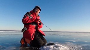 Ловля окуня на балансир зимой: какие балансиры более уловистые?