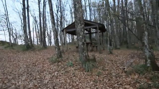 Осенние выходные в Предгорьях смотреть онлайн