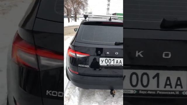 Общий вид моего Шкода Кодиак смотреть онлайн