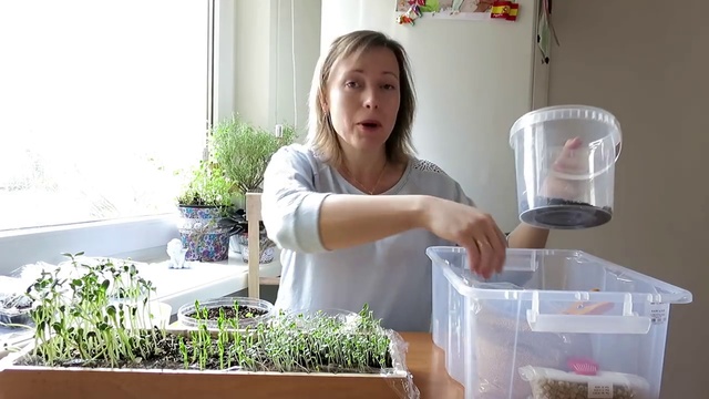 Микрозелень - ВИТАМИНЫ круглый год -- Microgreens смотреть онлайн