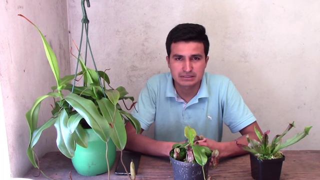 caminata en busca del MUSGO SPHAGNUM @RubianoAndy @granjamartinica смотреть онлайн