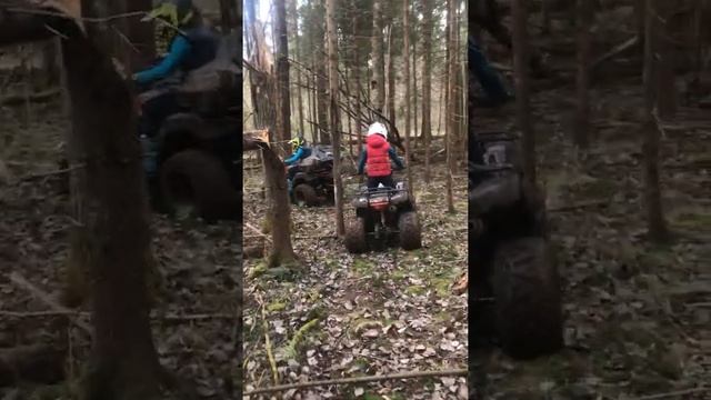 За грибами на квадроциклах! смотреть онлайн
