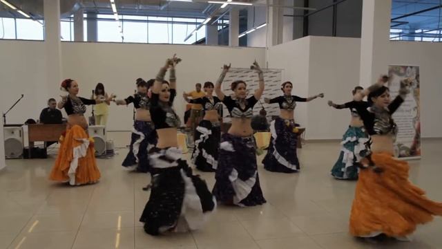 Трайбл Студия 