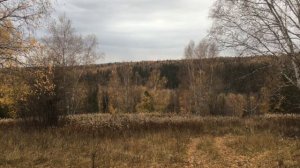 Молебка