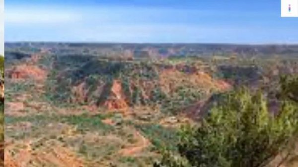 Top 10 Interesting Facts About Texas