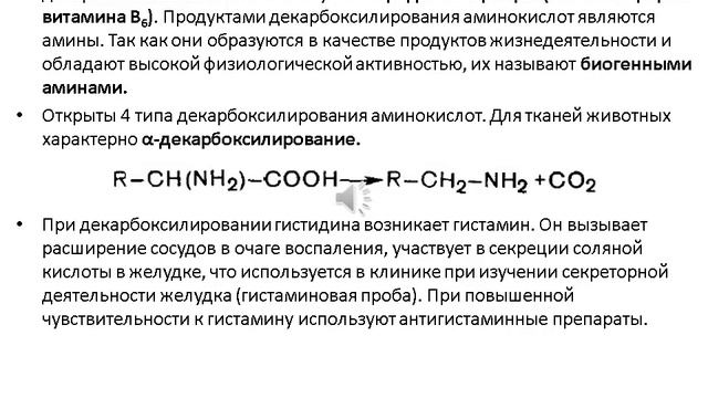 Лекция.Обмен БЕЛКОВ, общие пути обмена АК. смотреть онлайн