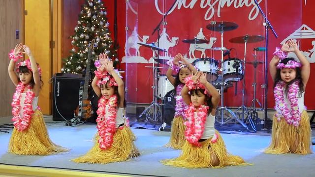 Pearly Shells Dance - by Sunday school children смотреть онлайн