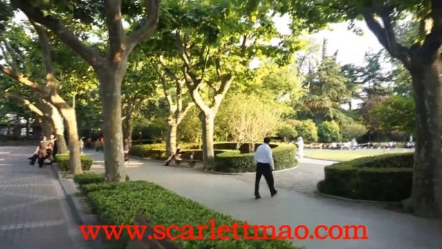 The French Concession, Fuxing Park , Tianzifang With Shanghai Private Tour Guide Scarlett Mao смотреть онлайн