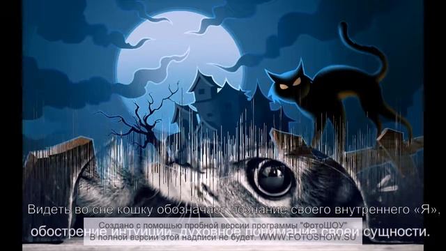 К чему снится кошка смотреть онлайн